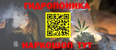 ПСИЛОЦИБИНОВЫЕ ГРИБЫ Кулебаки