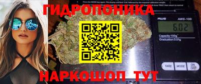 ПСИЛОЦИБИНОВЫЕ ГРИБЫ Кулебаки