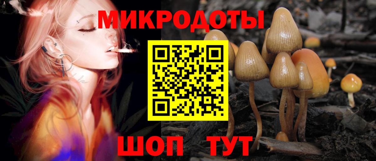 Галлюциногенные грибы ЛСД  Вход с VPN  Шадринск 